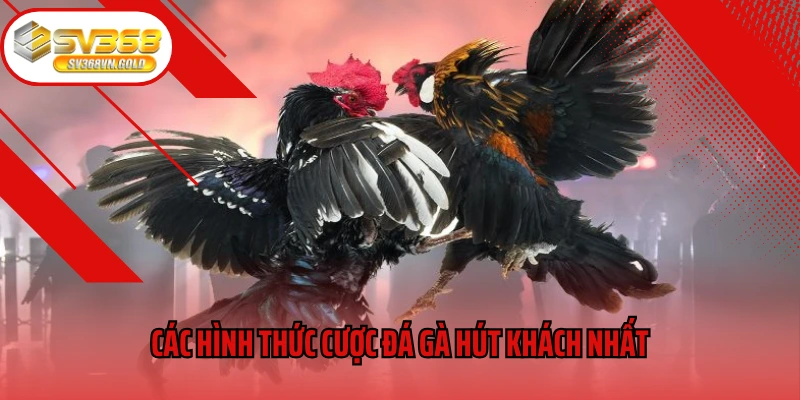 Các hình thức cược đá gà hút khách nhất