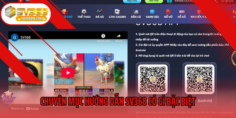 Chuyên mục hướng dẫn sv368 có gì đặc biệt