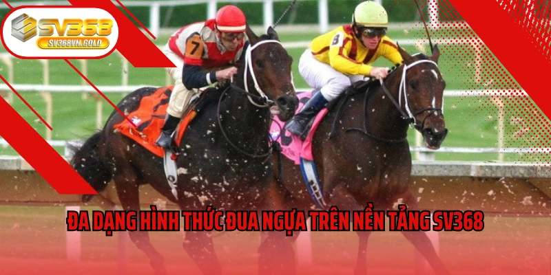 Đa dạng hình thức đua ngựa trên nền tảng SV368