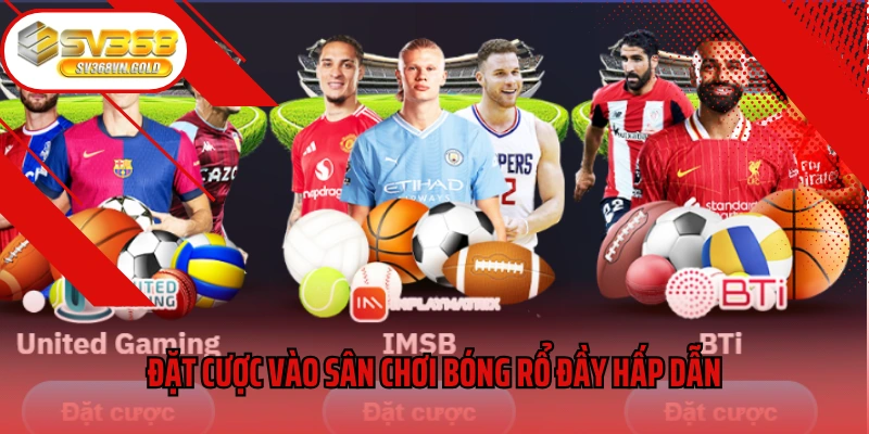 Đặt cược vào sân chơi bóng rổ đầy hấp dẫn