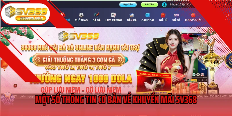 Một số thông tin cơ bản về khuyến mãi SV368