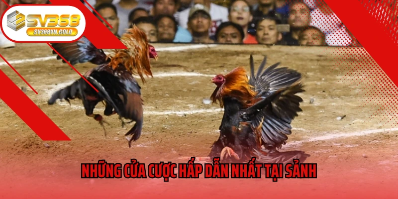 Những cửa cược hấp dẫn nhất tại sảnh