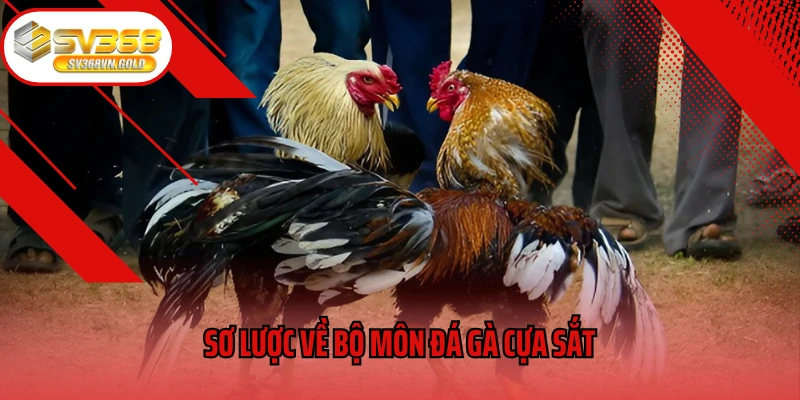 Sơ lược về bộ môn đá gà cựa sắt