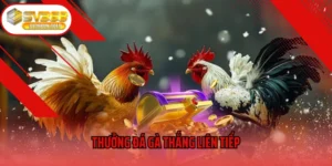 Thưởng Đá Gà Thắng Liên Tiếp