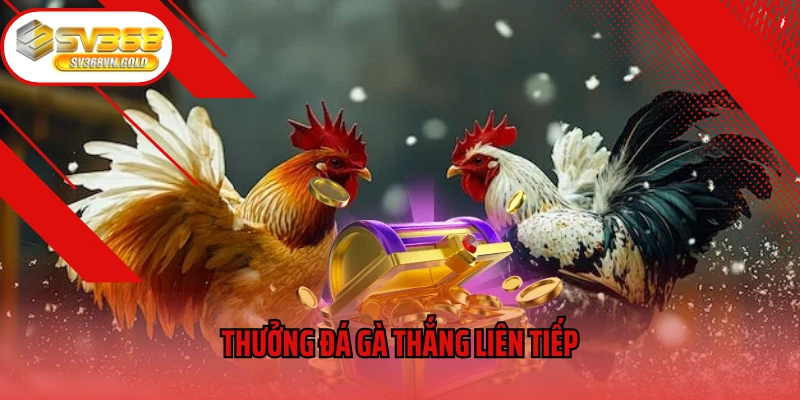 Thưởng Đá Gà Thắng Liên Tiếp